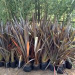 HV JARDINAGEM - FORMIO RUBRO